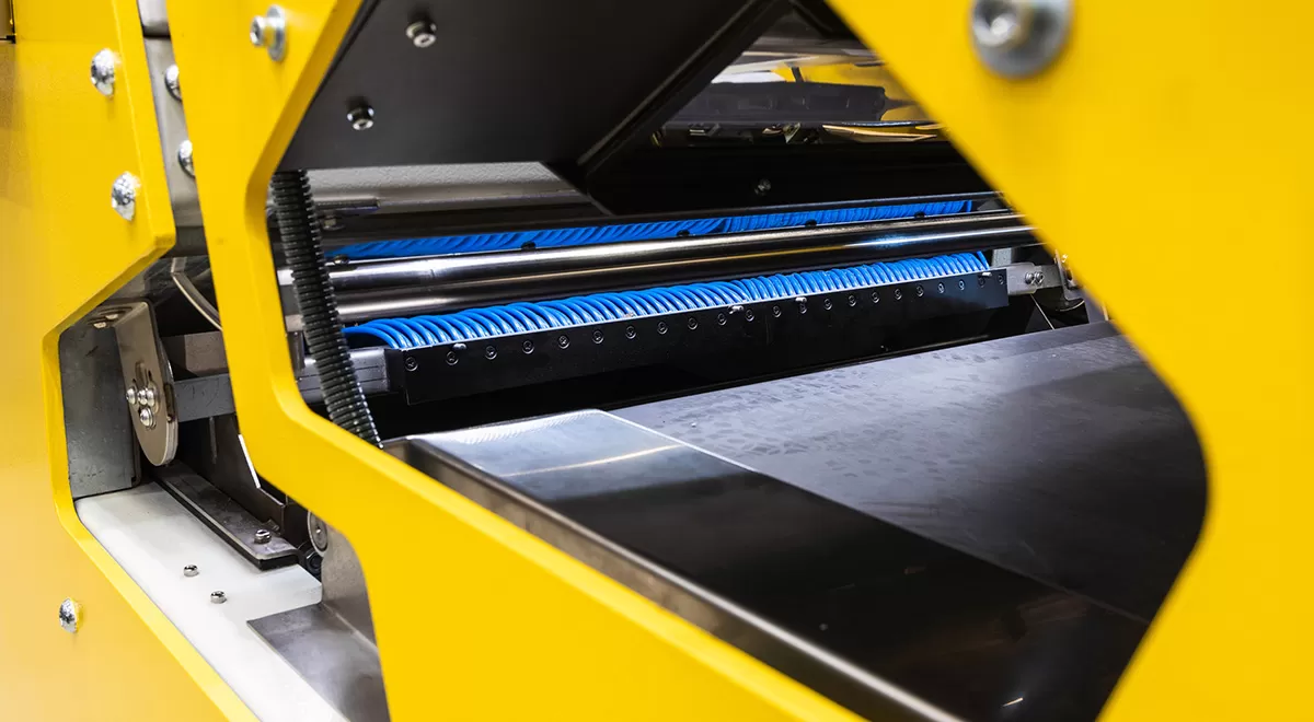 PICVISA optical sorting machine with Eldan Sorting integration
